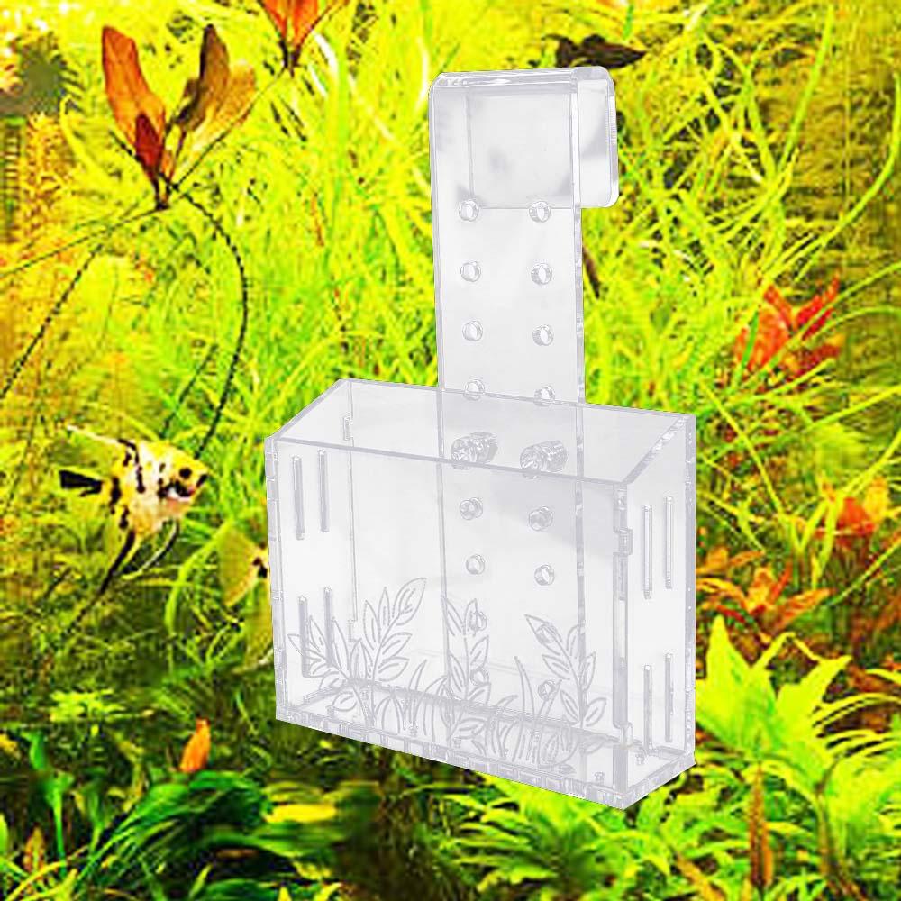 Aquarium Planted Wall - Maceta flotante transparente para plantas de