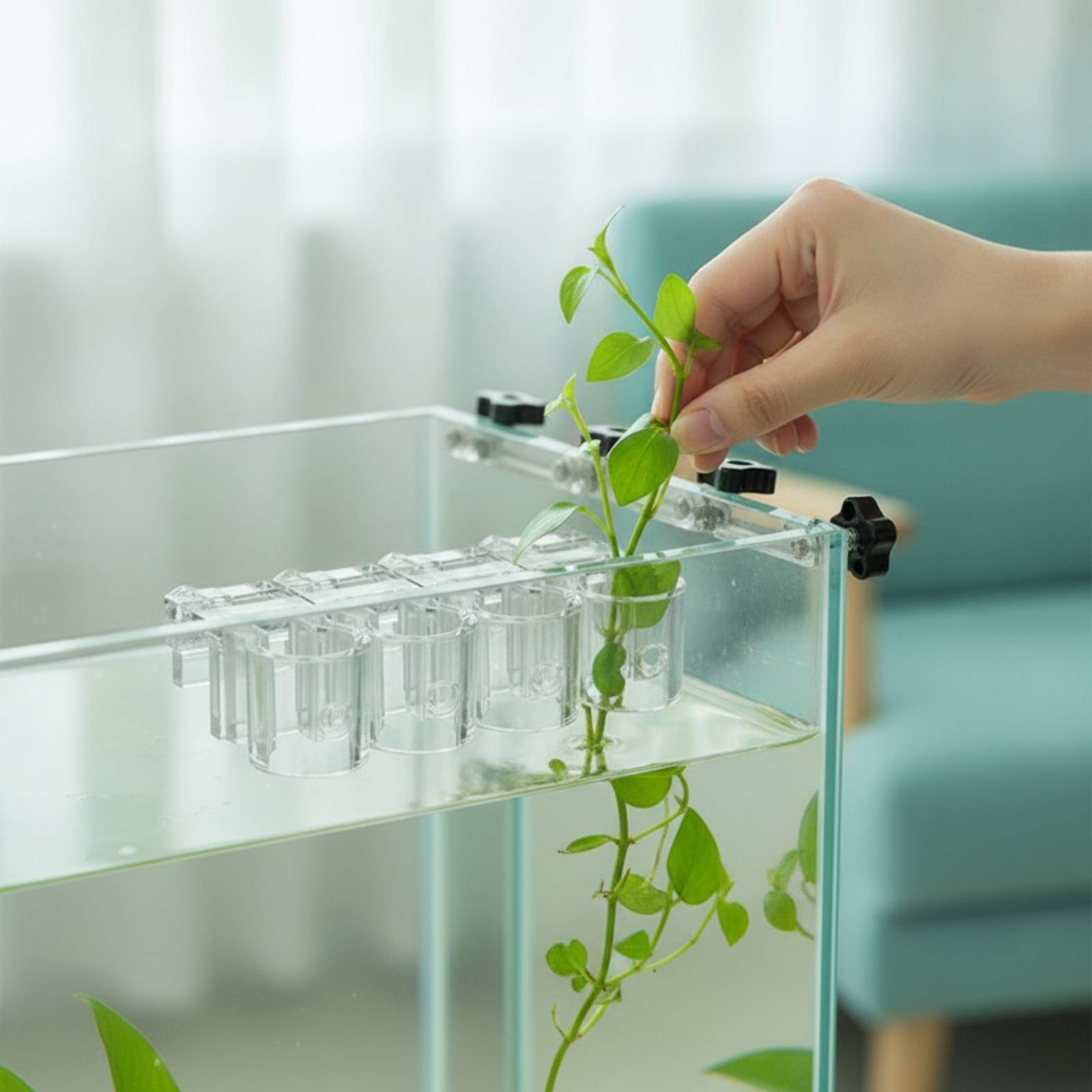 Aquarium Planted Aquarium - 6 Piezas de Soportes Transparentes para