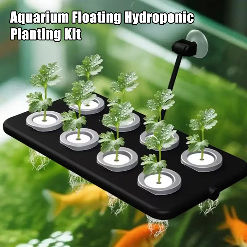 Aquarium Planted Wall - Nuevo Kit de Cultivo Hidropónico Flotante