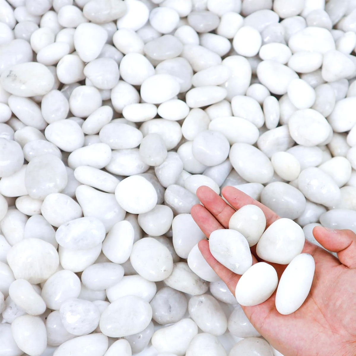Aquarium Sand White - 400g de Piedras de Río Naturales