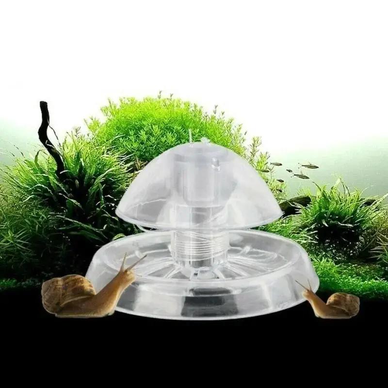 Planted Aquarium With Fish - Nueva Trampa para Caracoles de Plástico