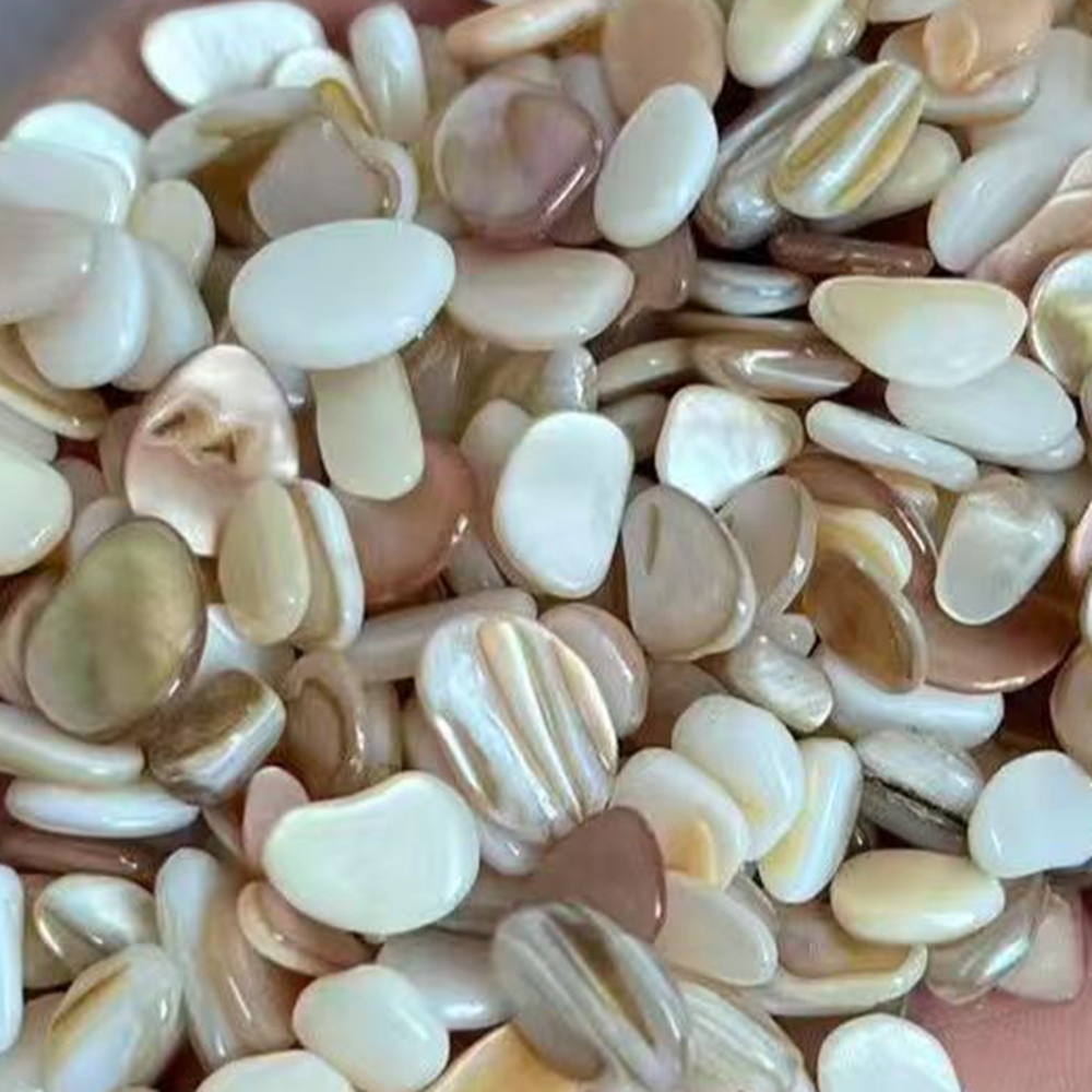 Aquarium Sand White - 50 Piezas de Conchas de Nácar