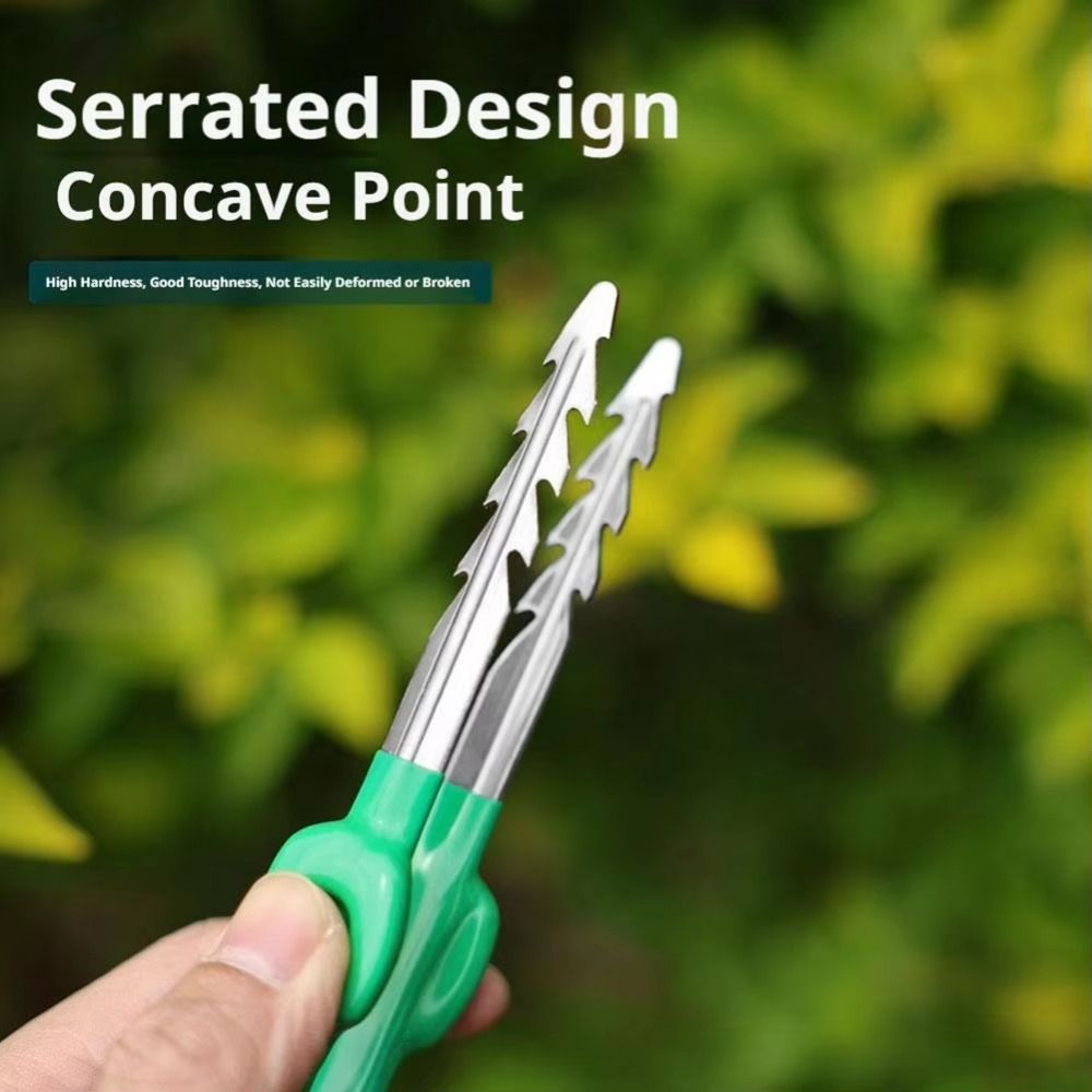 Planted Clip Tweezers - Pinzas de Jardinería de Acero Inoxidable,