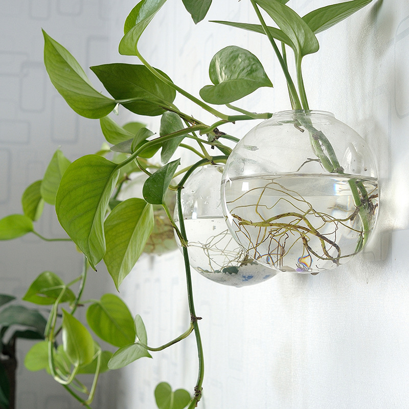 Aquarium Planted Wall - Pecera acrílica colgante de pared, florero