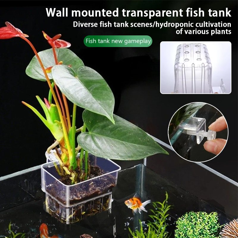 Aquarium Plant Nursery - Macetas Colgantes para Acuario, Soporte de