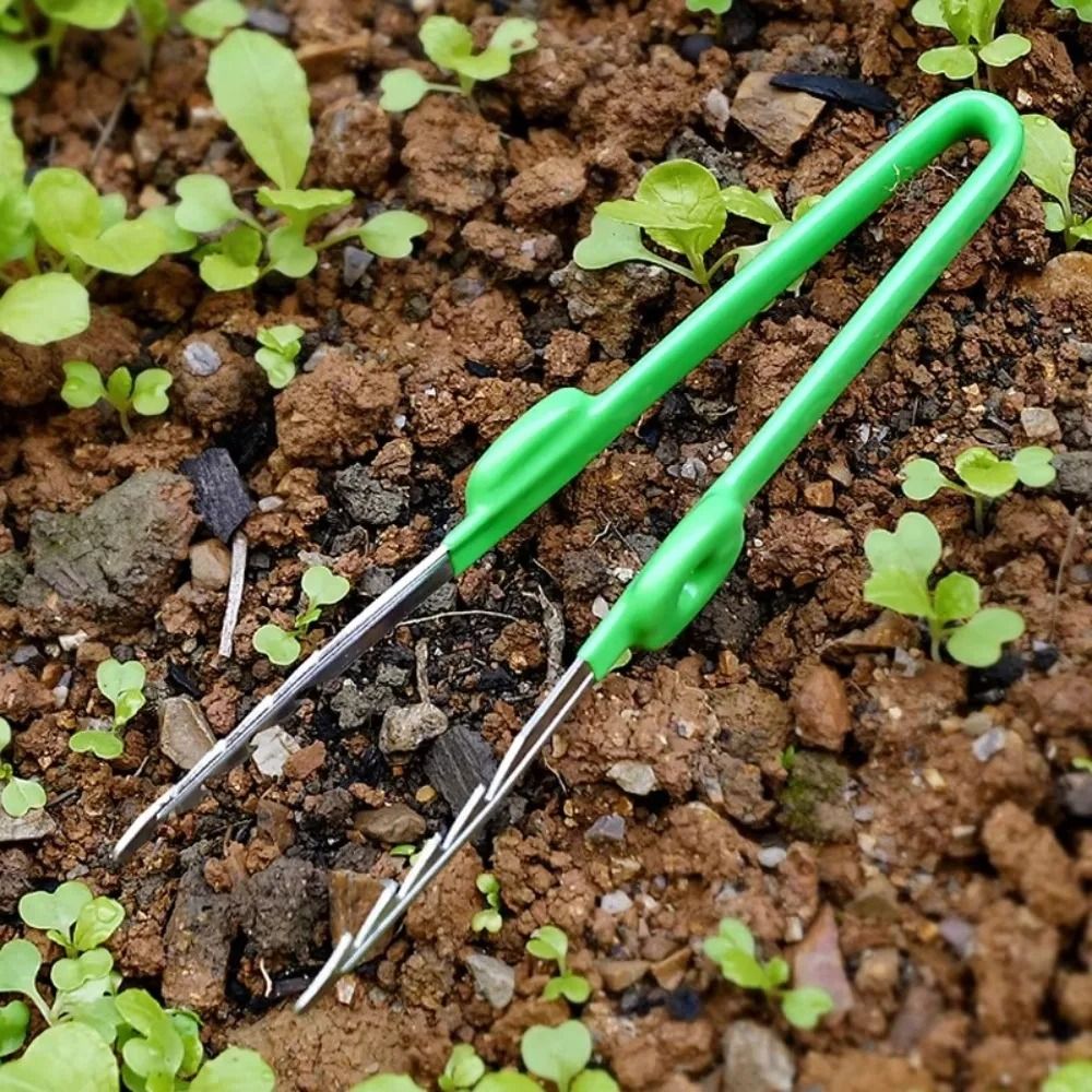 Planted Clip Tweezers - Pinzas de Jardinería de Acero Inoxidable,