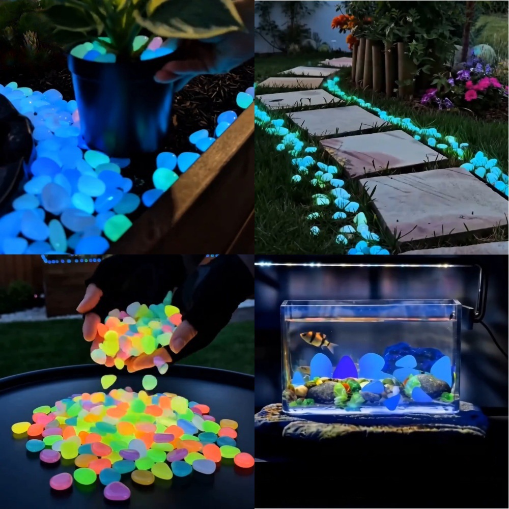 Planted Aquarium With Fish - Piedras luminosas coloridas que brillan en