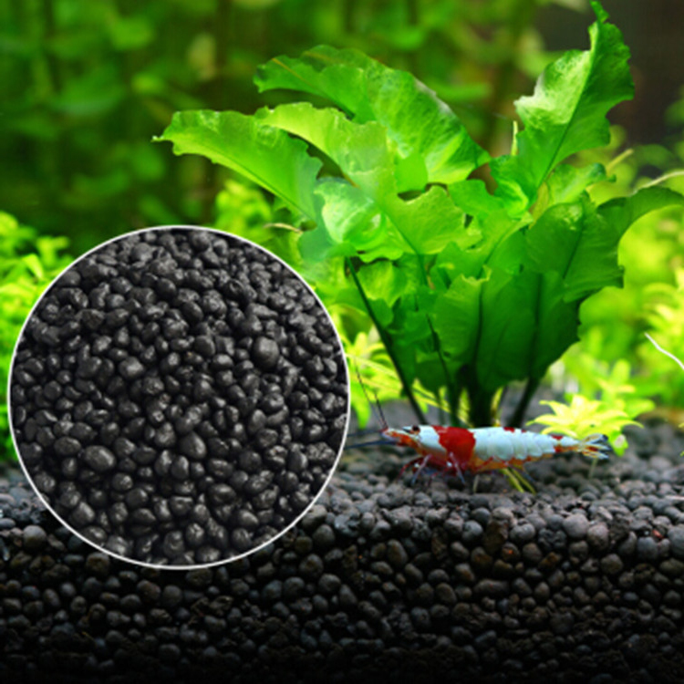 Planted Aquarium With Fish - Semillas de plantas de Acuario, sustrato
