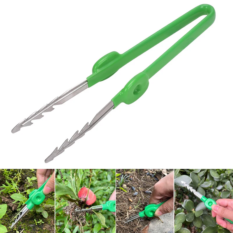 Planted Clip Tweezers - Pinzas de jardinería para plantas suculentas,
