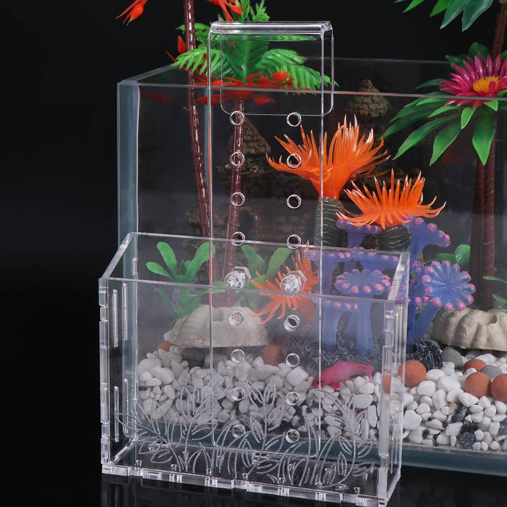 Aquarium Planted Wall - Maceta colgante de pared para plantas