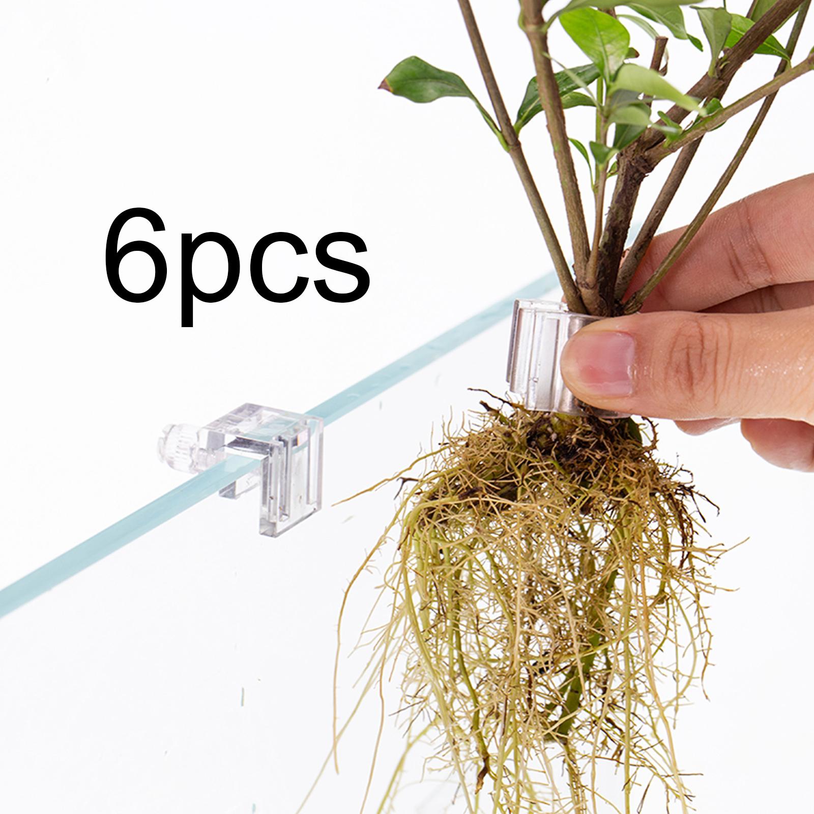 Aquarium Planted Wall - Soporte Transparente y Duradero para Plantas