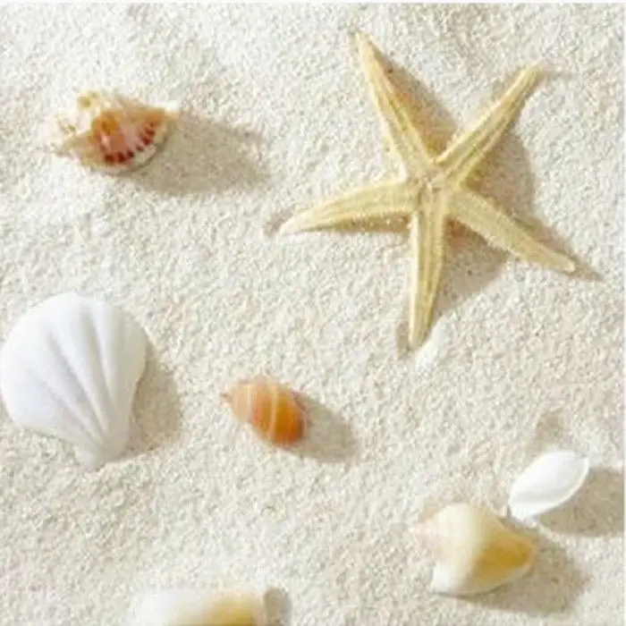Aquarium Sand White - Fondo de concha blanca para paisajismo