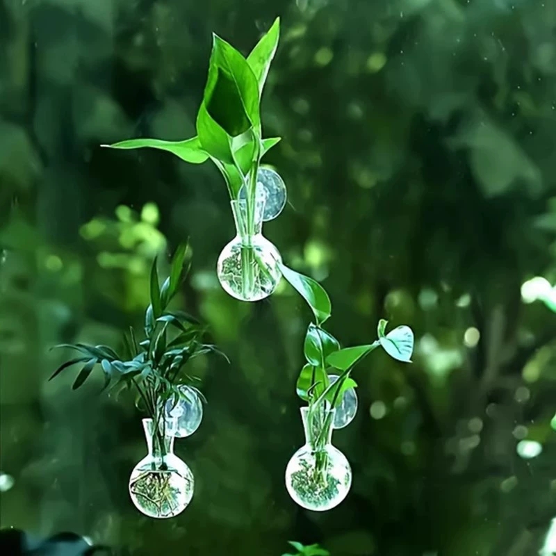 Aquarium Planted Wall - Florero montado en la pared de