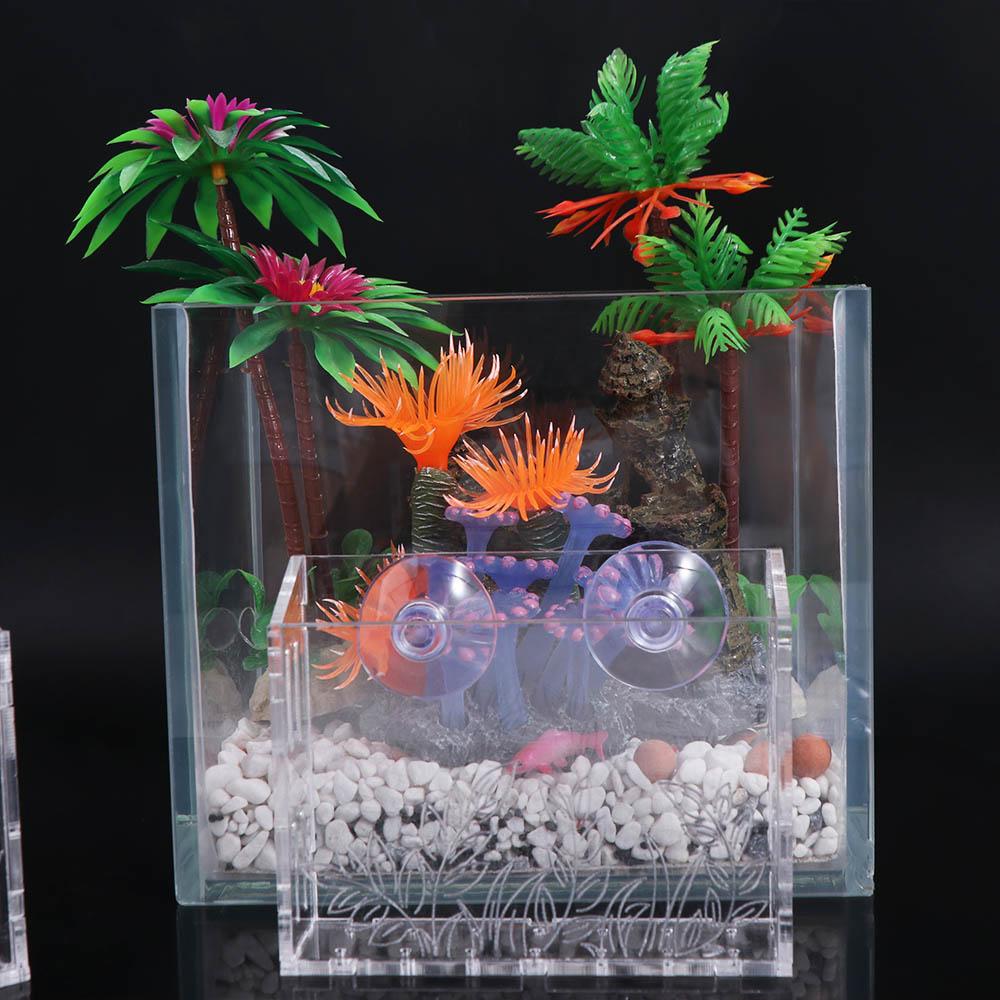 Maceta flotante transparente p - Aquarium Planted Wall reseña y precio