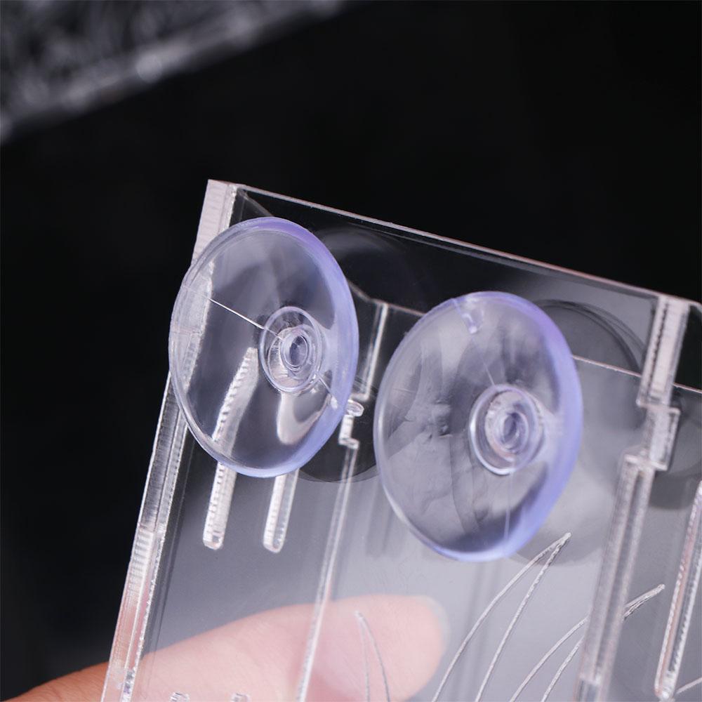 Maceta flotante transparente p - Aquarium Planted Wall reseña y precio