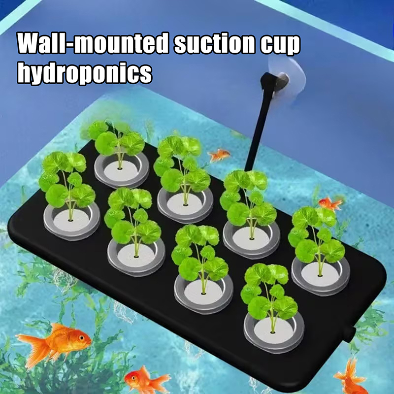 Nuevo Kit de Cultivo Hidropóni - Aquarium Planted Wall reseña y precio