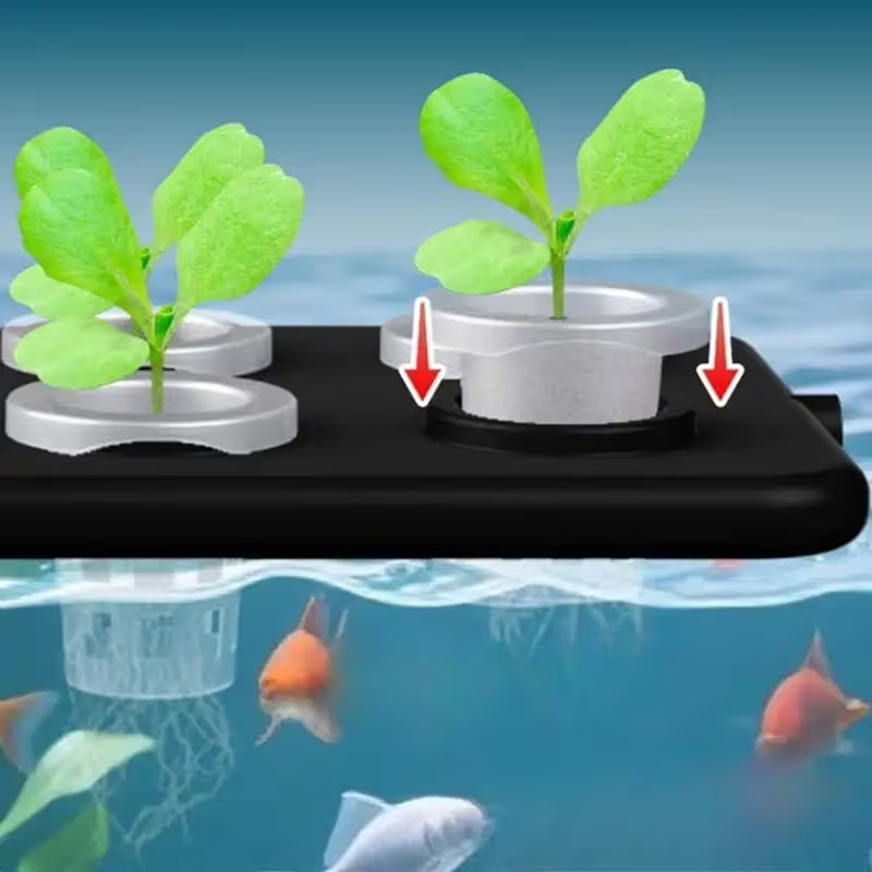 Nuevo Kit de Cultivo Hidropóni - Aquarium Planted Wall reseña y precio