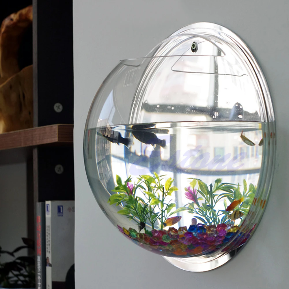 Pecera acrílica montada en la  - Aquarium Planted Wall reseña y precio