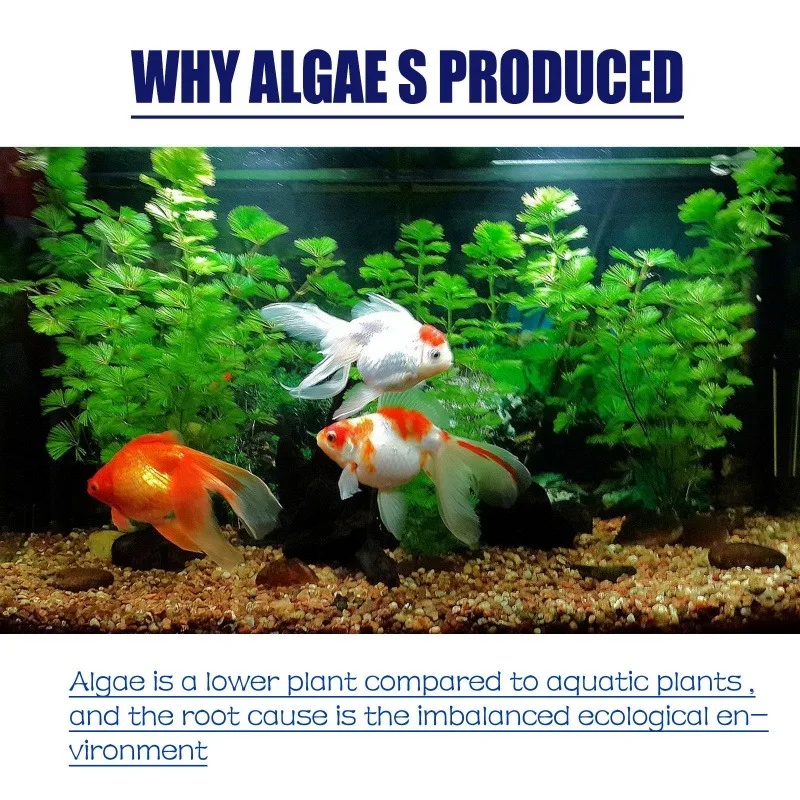 Algaecida de Alta Eficiencia d - Aquarium Planted Aquarium reseña y precio