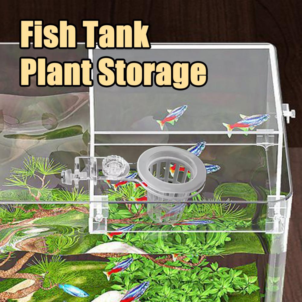 Soporte para plantas de acuari - Aquarium Planted Wall reseña y precio