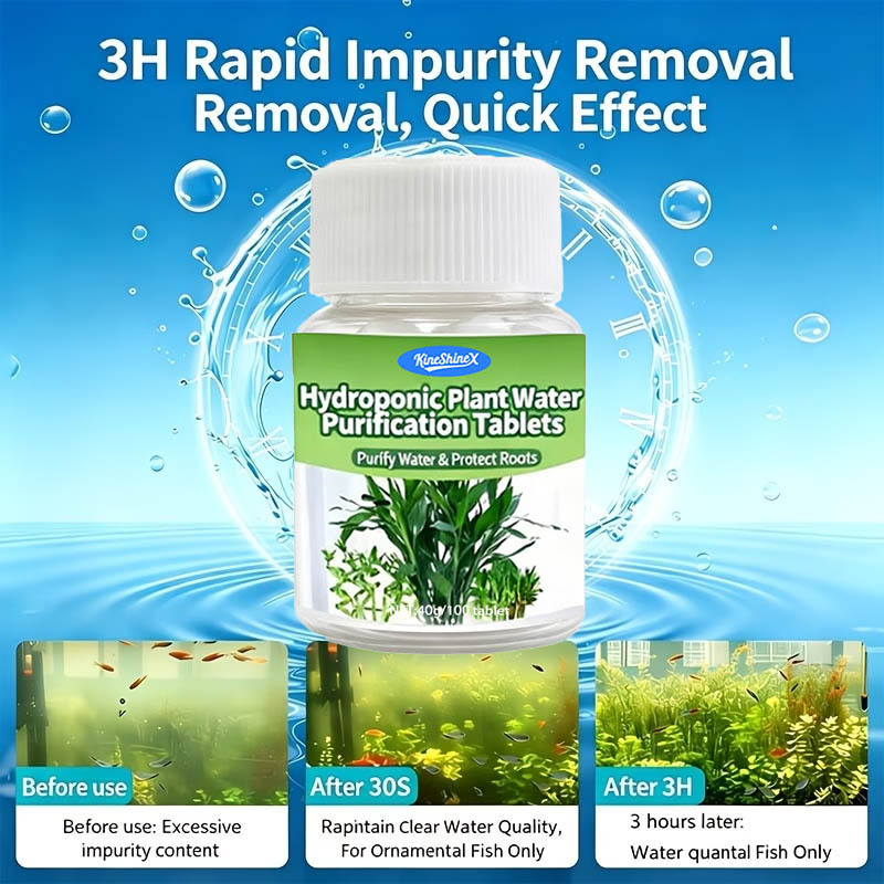 Tabletas de Purificación de Ag - Aquarium Planted Aquarium reseña y precio