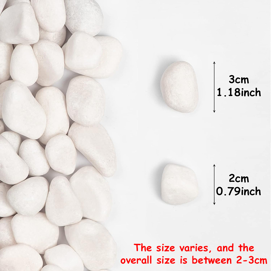 400g de Piedras de Río Natural - Aquarium Sand White reseña y precio