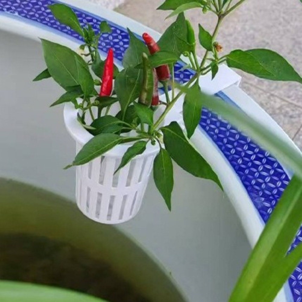 Cesta de Pared para Plantas de - Aquarium Planted Wall reseña y precio