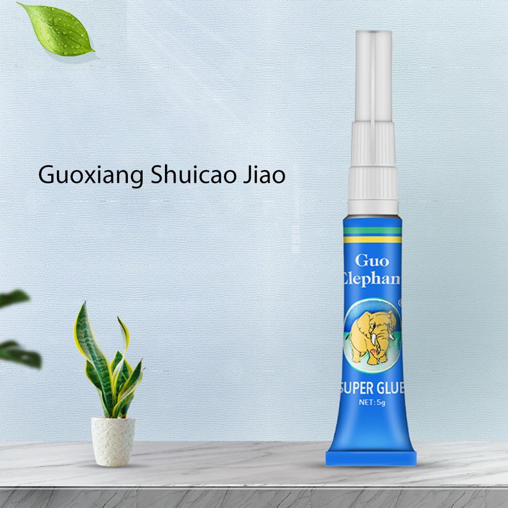 Pegamento para Musgo de Acuari - Aquarium Plant Gel reseña y precio