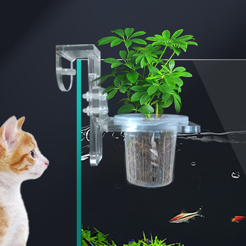 Tazas para plantar pecera, ces - Aquarium Planted Wall reseña y precio