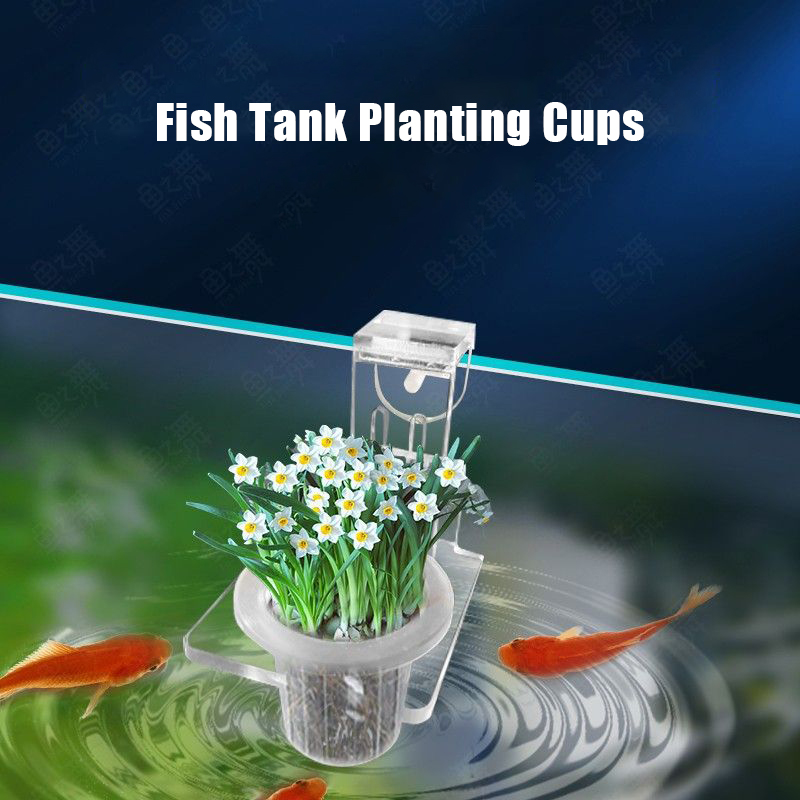 Tazas para plantar pecera, ces - Aquarium Planted Wall reseña y precio