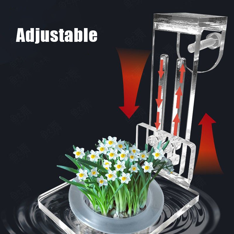 Tazas para plantar pecera, ces - Aquarium Planted Wall reseña y precio