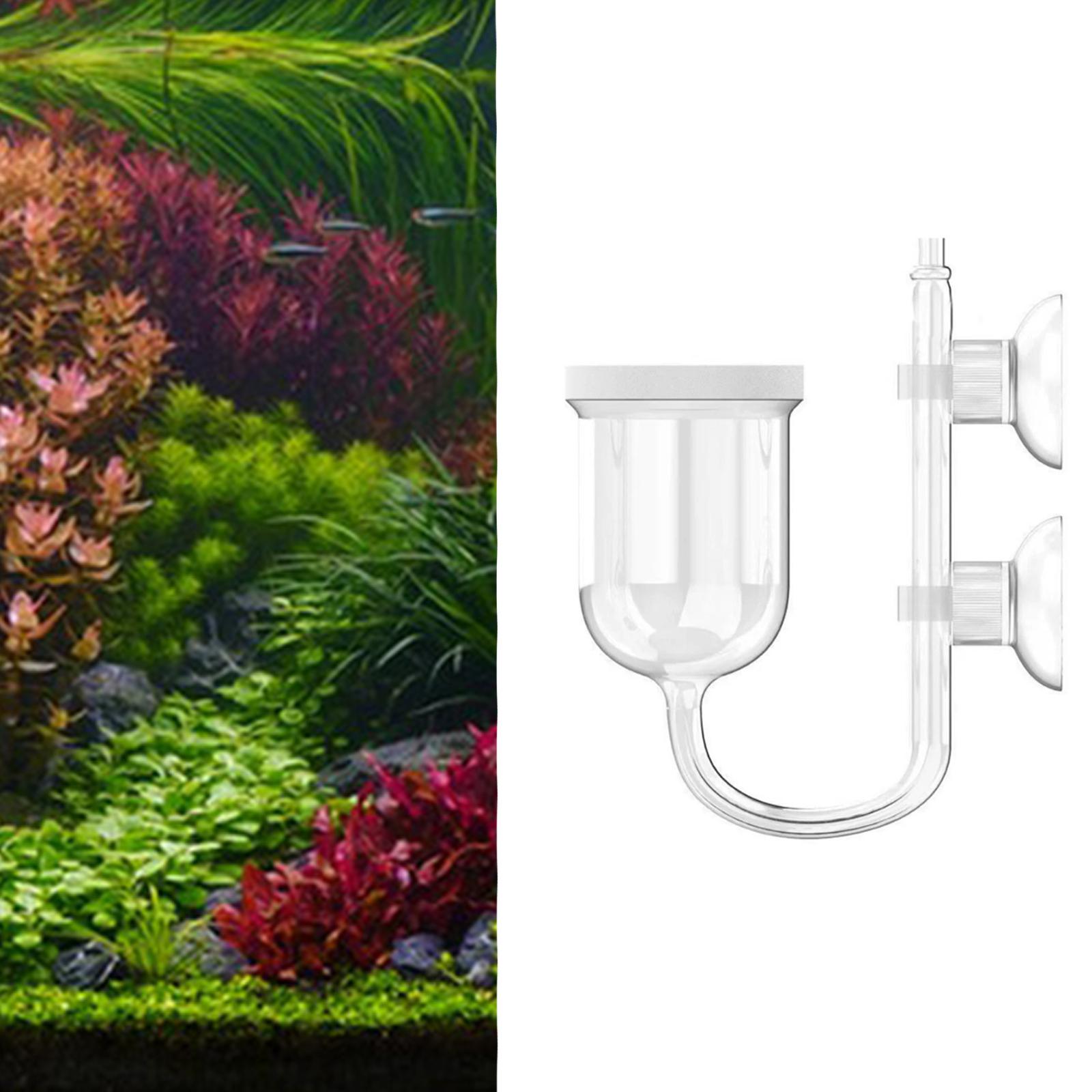 Difusor de CO2 con contador de - Planted Aquarium Care reseña y precio