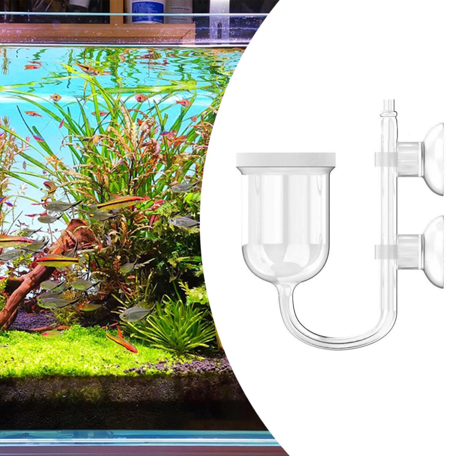 Difusor de CO2 con contador de - Planted Aquarium Care reseña y precio