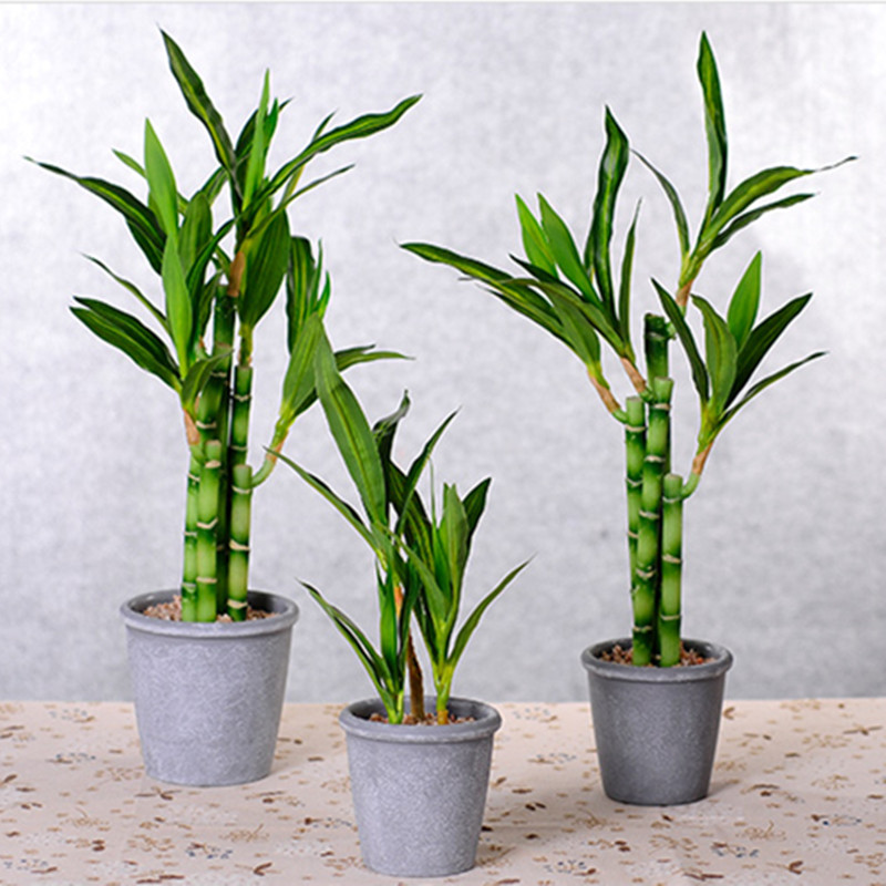 Nueva Planta Artificial de Bam - Aquarium Plant Nursery reseña y precio