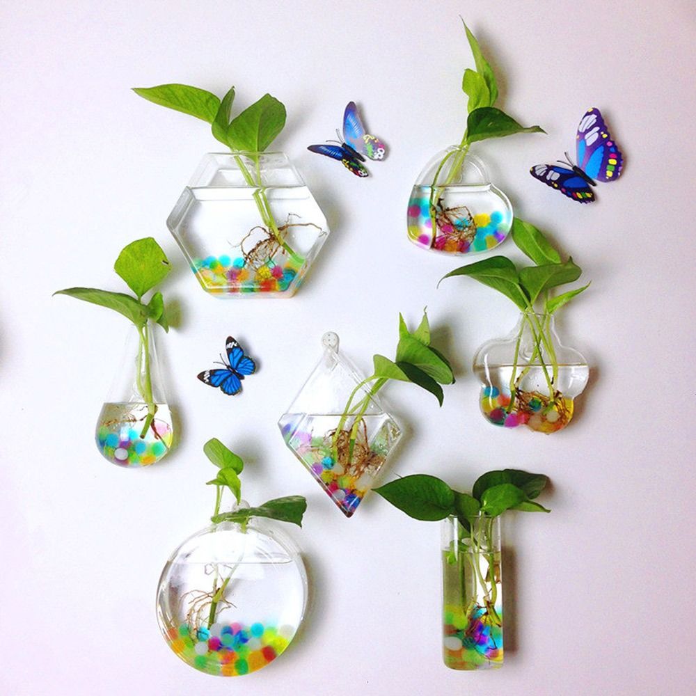 Florero colgante de pared con  - Aquarium Planted Wall reseña y precio