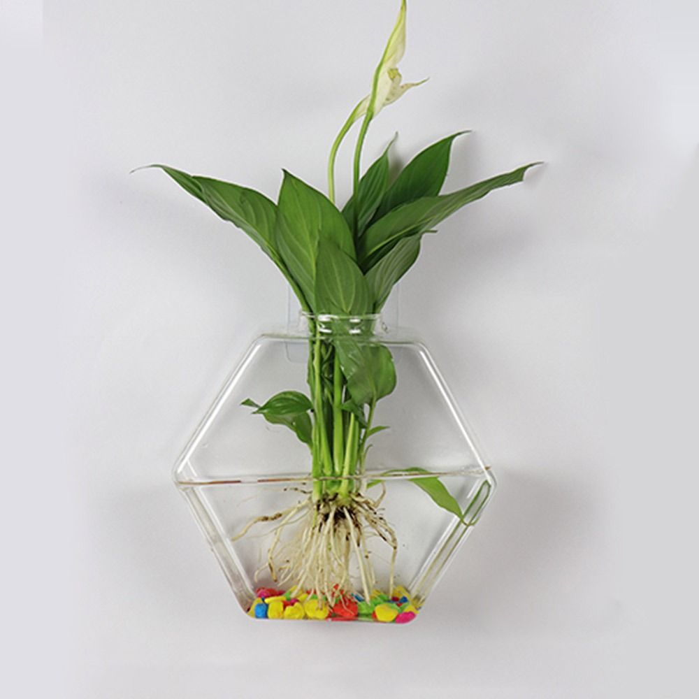 Florero colgante de pared con  - Aquarium Planted Wall reseña y precio