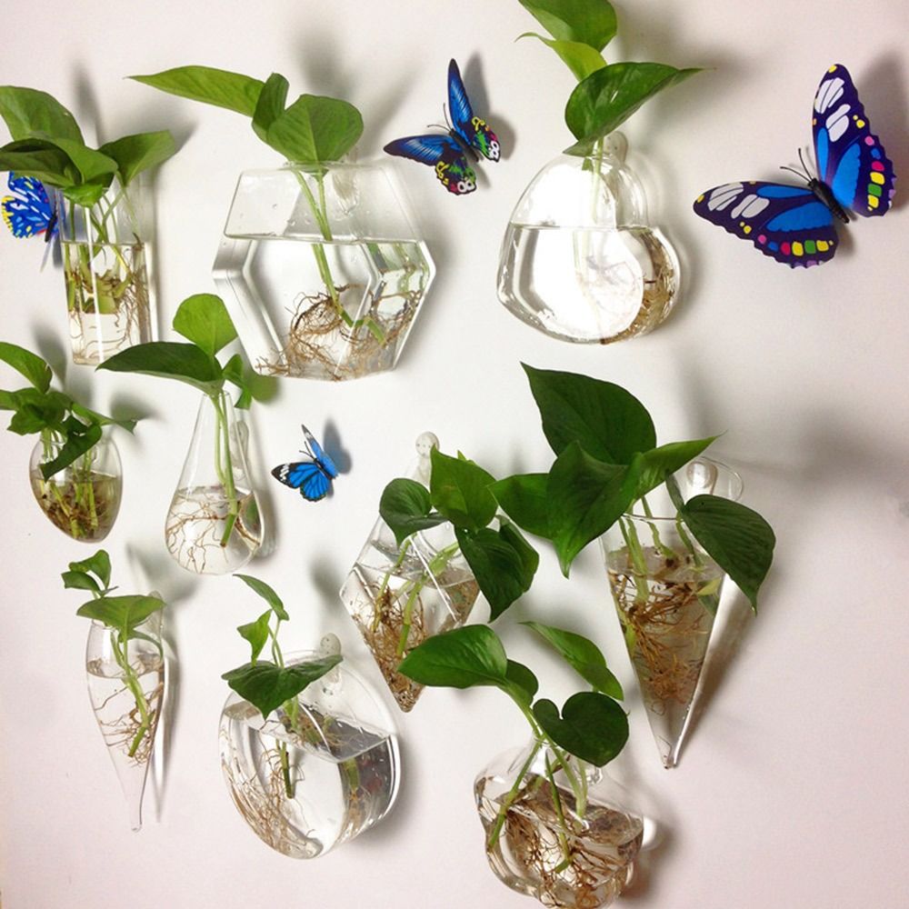 Florero colgante de pared con  - Aquarium Planted Wall reseña y precio