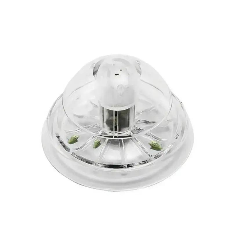 Nueva Trampa para Caracoles de - Planted Aquarium With Fish reseña y precio