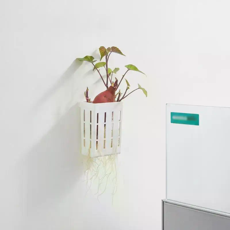 1 unidad de cesta de soporte h - Planted Aquarium With Fish reseña y precio