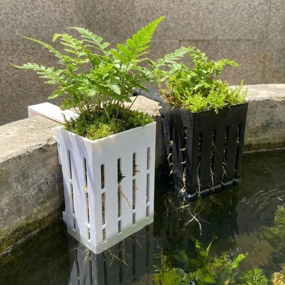 Maceta Colgante de Plástico pa - Aquarium Planted Wall reseña y precio