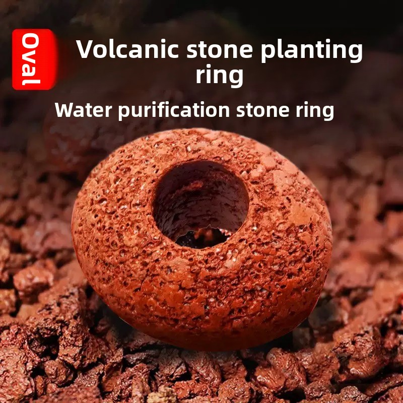 Anillo de Plantación de Roca V - Planted Aquarium Care reseña y precio