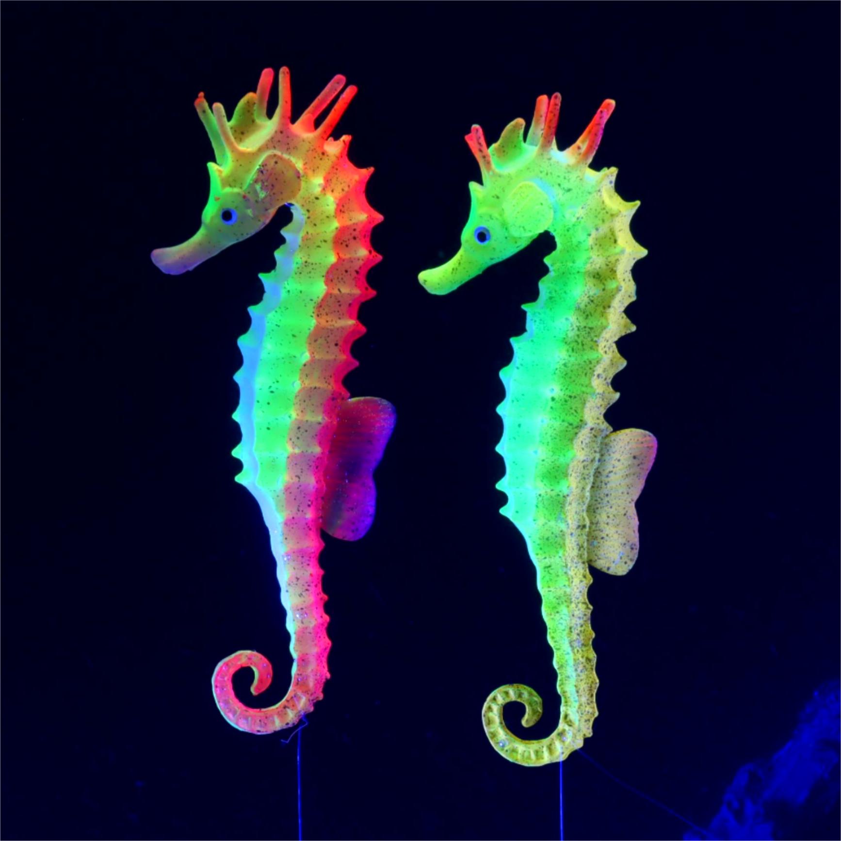 Decoración de pecera, caballos - Aquarium Plant Gel reseña y precio