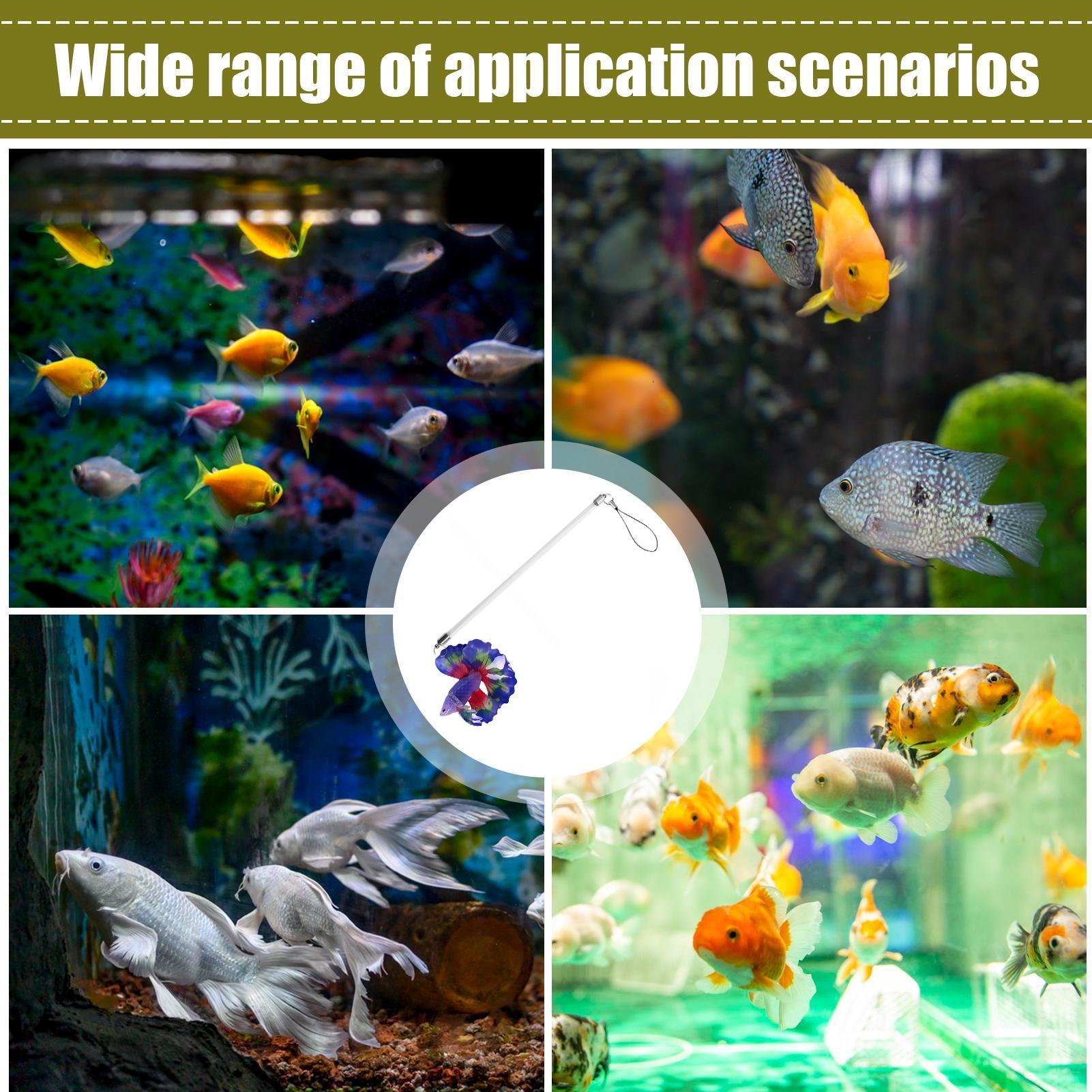 Varita de entrenamiento para B - Planted Aquarium For Beginners reseña y precio