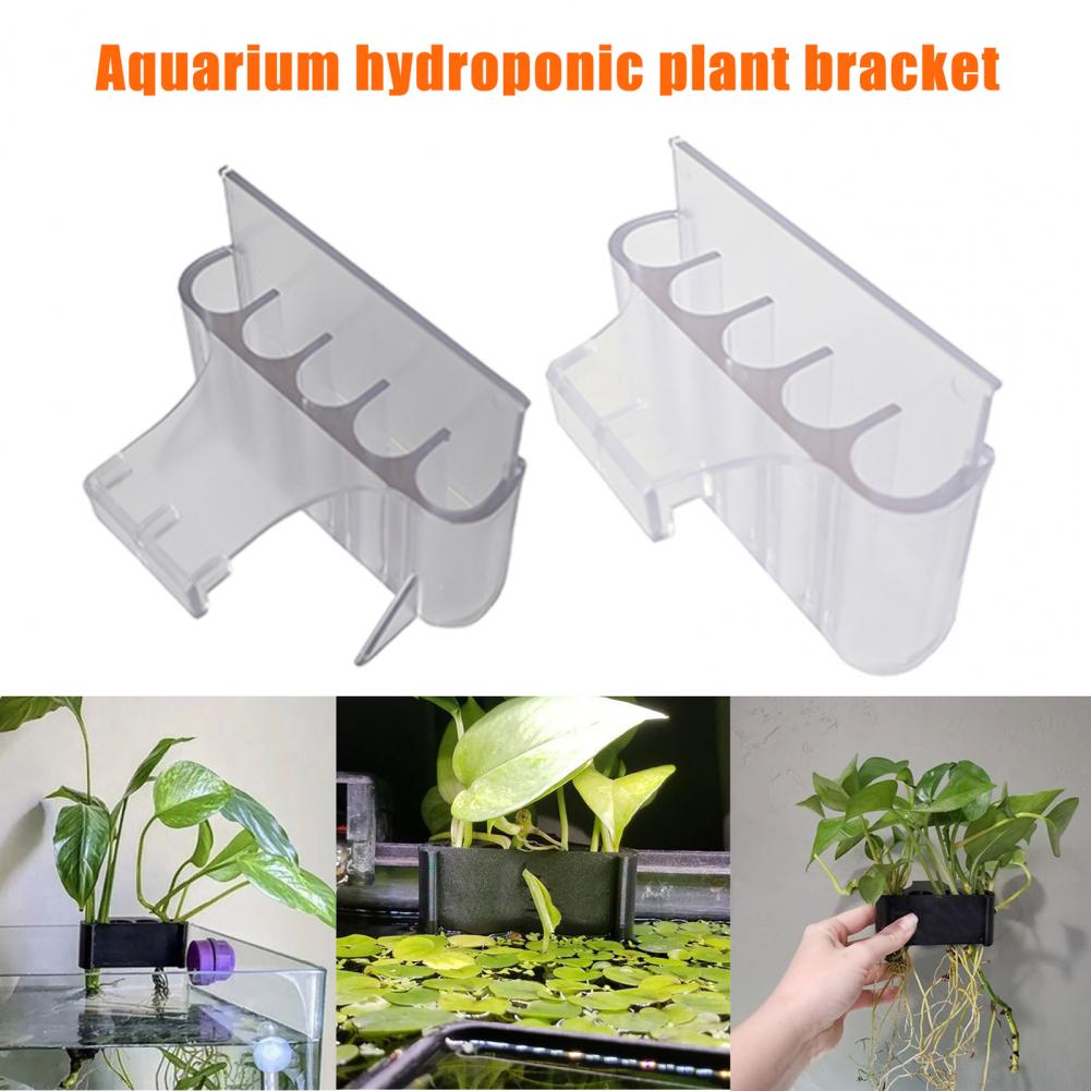 Soporte para plantas de acuari - Planted Aquarium With Fish reseña y precio