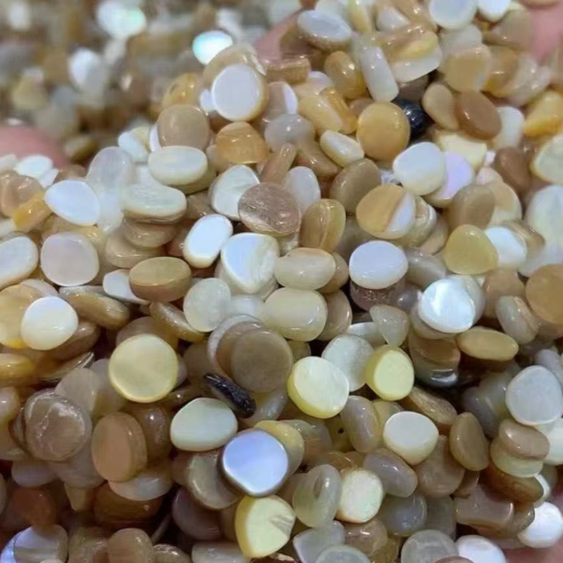 50 Piezas de Conchas de Nácar  - Aquarium Sand White reseña y precio