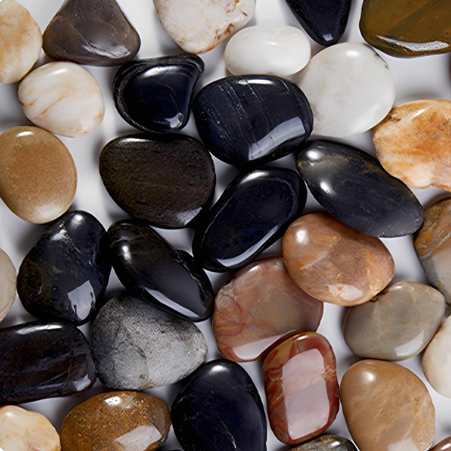Piedras de Río Lisas de 300-70 - Planted Aquarium With Fish reseña y precio