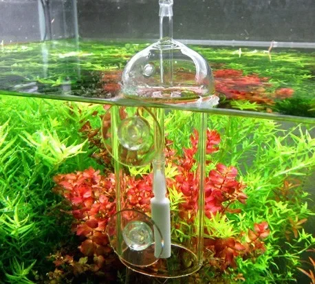 Dispositivo VIV Do, cilindro d - Planted Aquarium With Fish reseña y precio