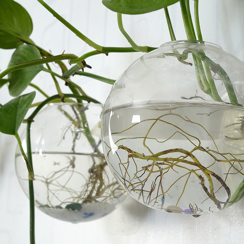 Pecera acrílica colgante de pa - Aquarium Planted Wall reseña y precio