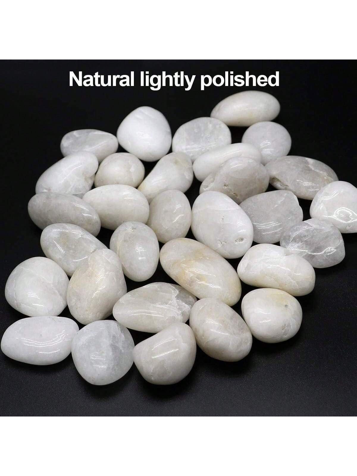 Rocas de río, guijarros blanco - Aquarium Sand White reseña y precio