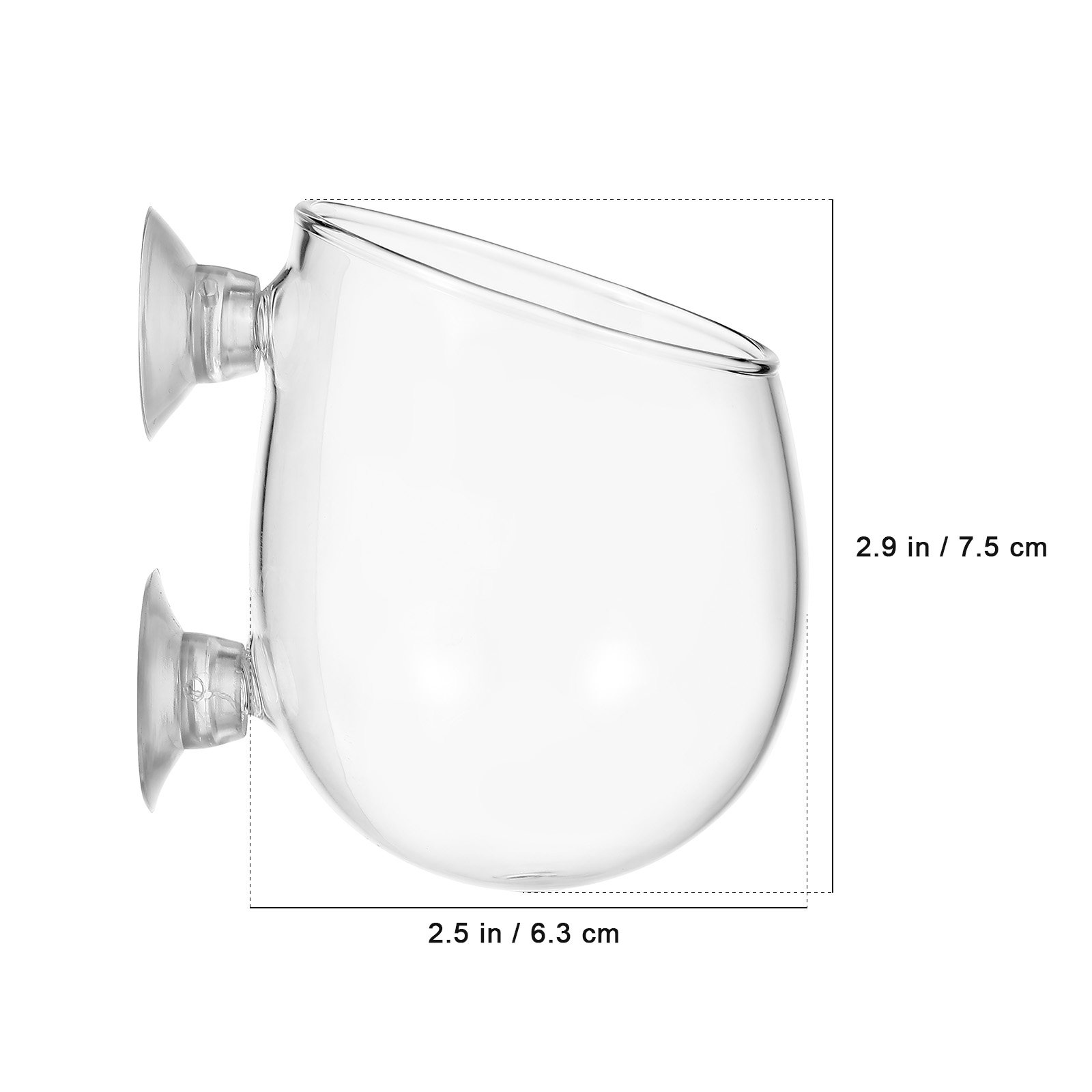 2 Vasos de Vidrio Transparente - Aquarium Planted Wall reseña y precio